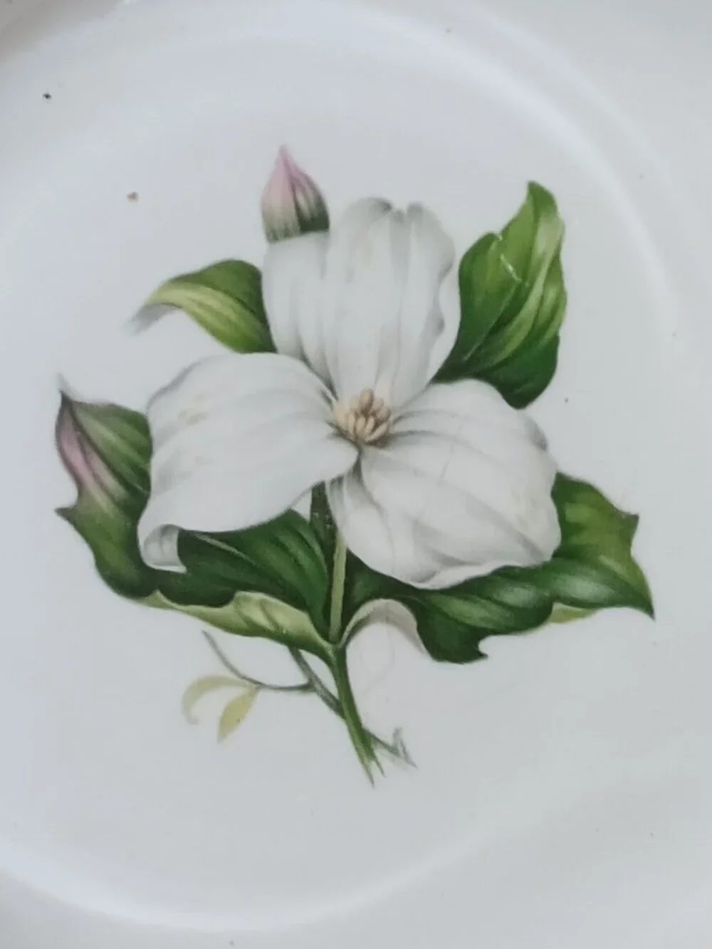 American Limoges Trillium 22K Soup Bowls Set of 2 Vintage GORGEOUS!LQQK!